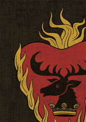 50ct Stannis Baratheon Sleeves